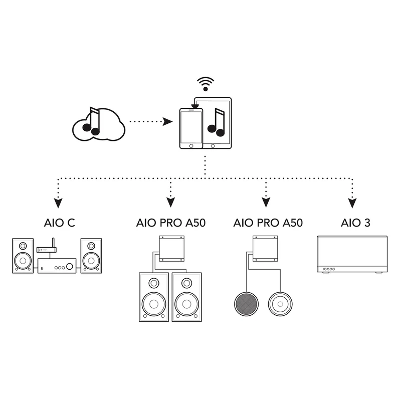 Triangle AIO PRO A50 Wi-Fi & Bluetooth Amplifier