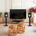 Triangle Capella Wi-Fi & Bluetooth Speaker