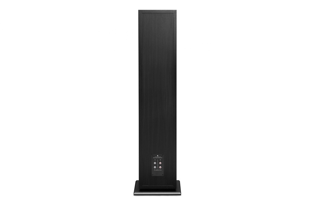 HiFi Floor Standing Speaker – Borea BR10