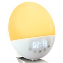 Lenco Wekkerlamp CRW110WH